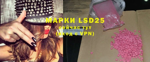 прущие грибы Тобольск