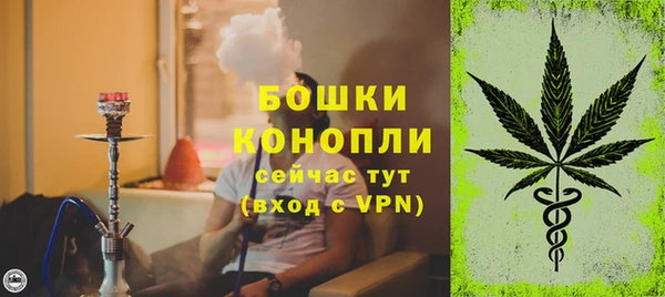 прущие грибы Тобольск